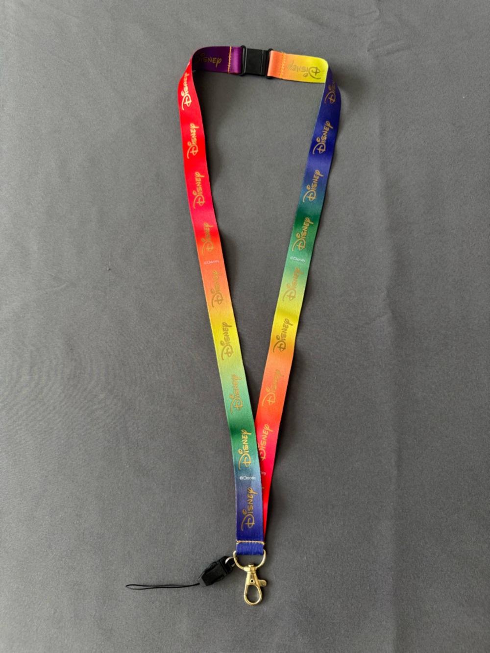 Disney Rainbow Lanyard with Gold Logo - Multicolor Satin
